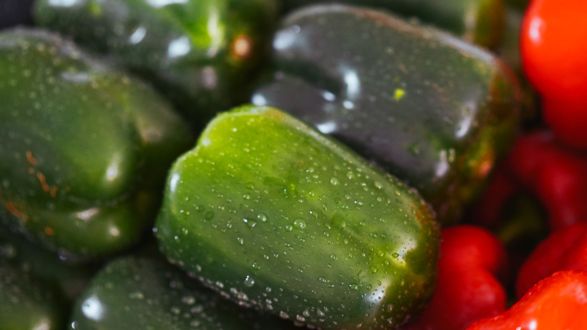 Capsicum