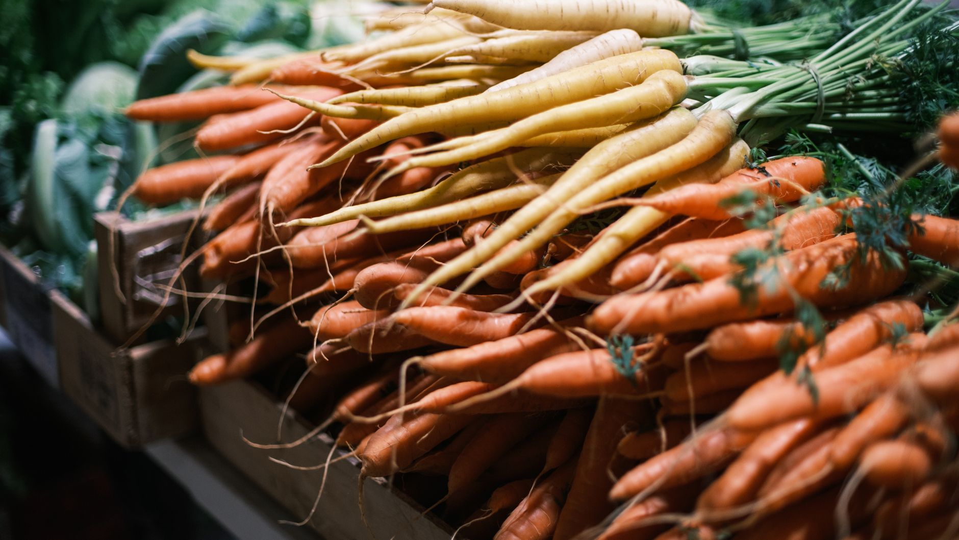 Carrot