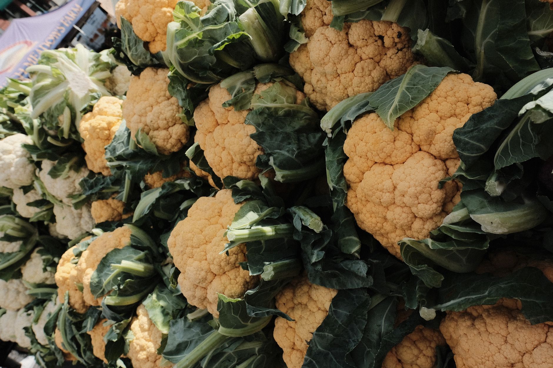 Cauliflower