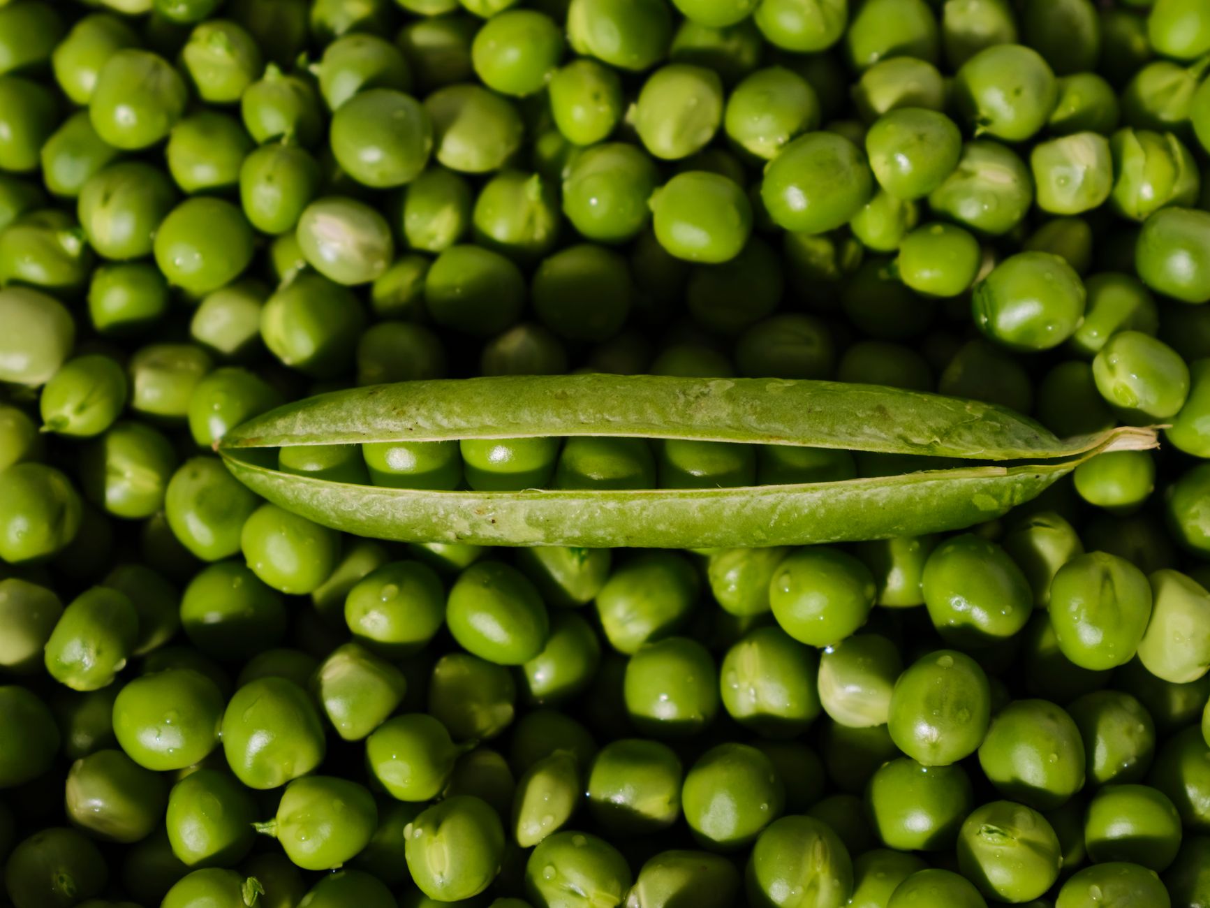 Peas